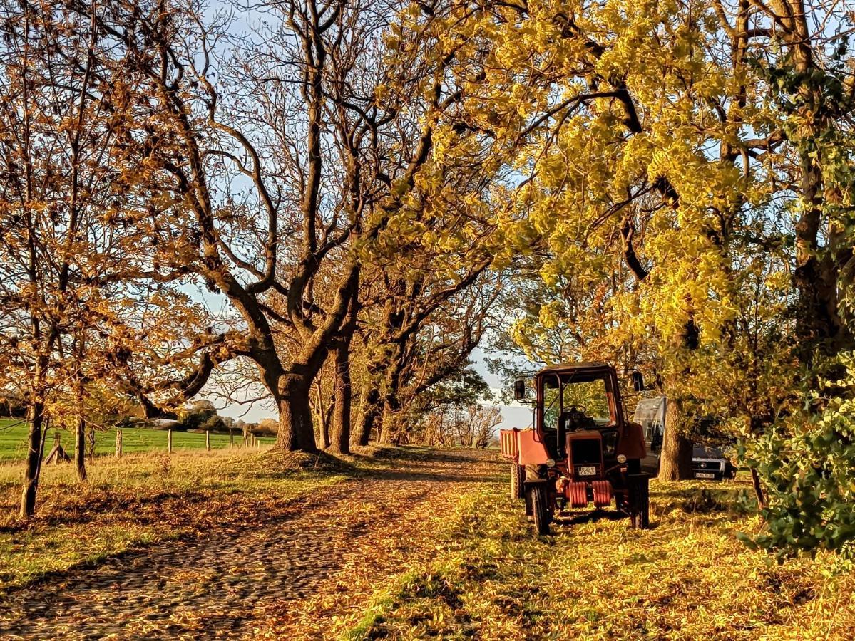 Hotel Schaeferwagen Auf Dem Biogut-Saalkow Gustow  Esterno foto